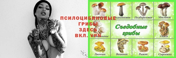 сатива Балахна