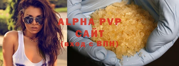 сатива Балахна