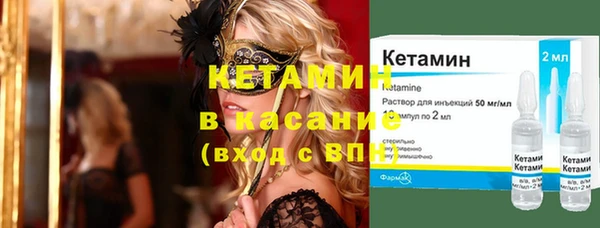 сатива Балахна