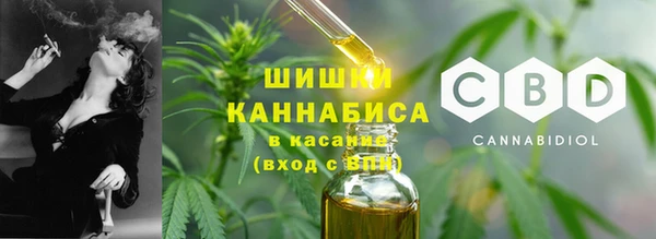 сатива Балахна