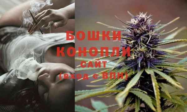 сатива Балахна
