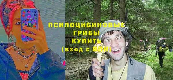сатива Балахна