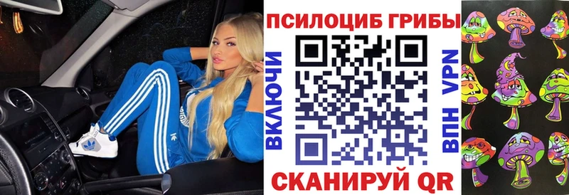 Галлюциногенные грибы Psilocybine cubensis  Купить закладки  Белая Калитва 